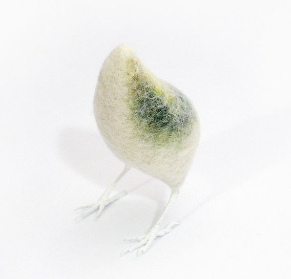 Seedling Creeper, by  Zoë Williams