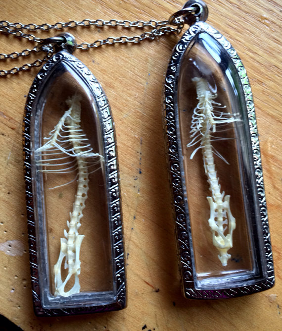 Cruelty-free anatomical jewelry by Afterlife Artwork