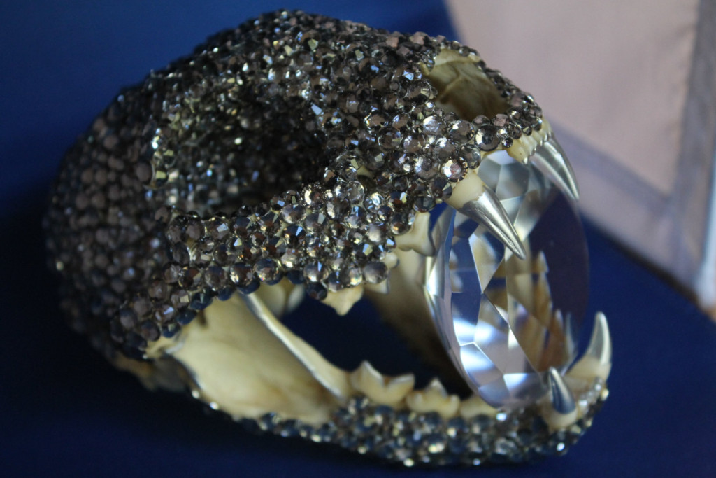 Jeweled Bobcat Skull