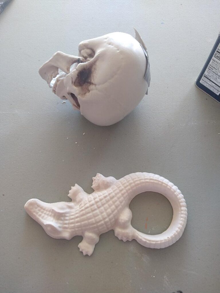 A plastic skull, with some surgery done at the back, and a cast alligator.